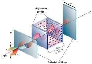How does the LCD Work?
