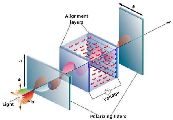 How does the LCD Work?