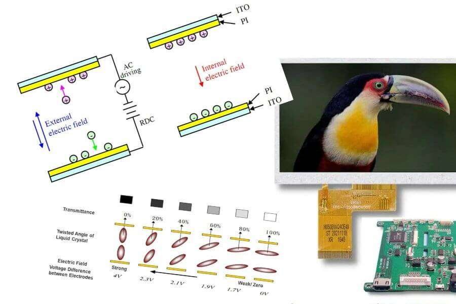 Quick Understanding of the Working and Common Phenomenon of LCD